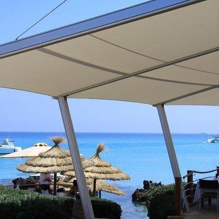 Appartement Ezzouhour Dar Sammoud Kelibia Εξωτερικό φωτογραφία